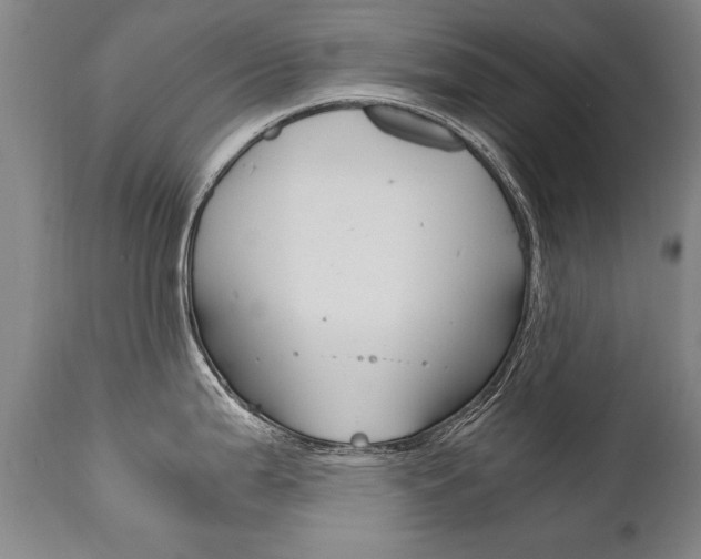 X0000110871199200906181002