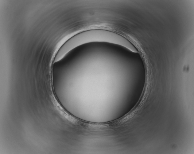 X0000110871200200906181002