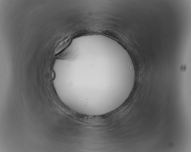 X0000110871201200906181001