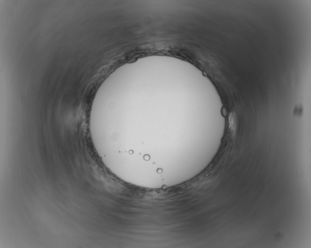 X0000110871203200906181001