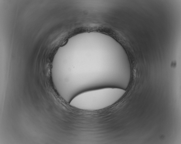 X0000110871204200906181001