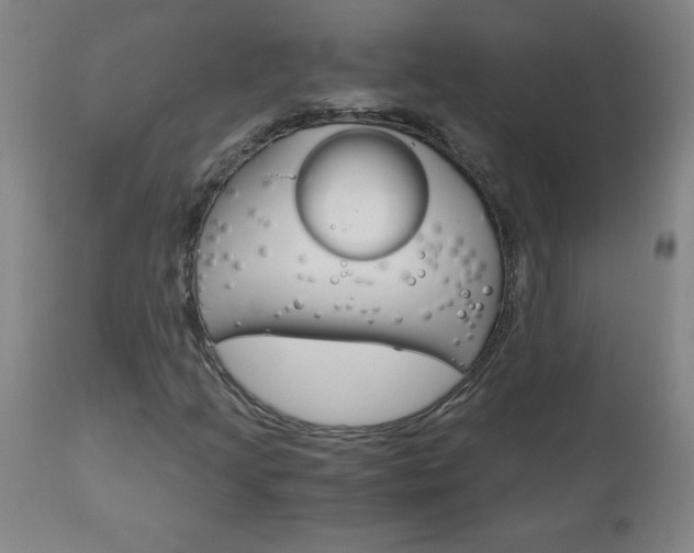 X0000110871205200906181001