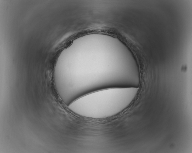 X0000110871206200906181001