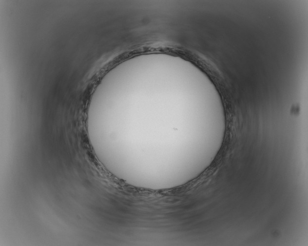 X0000110871207200906181001