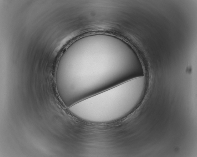 X0000110871210200906181001