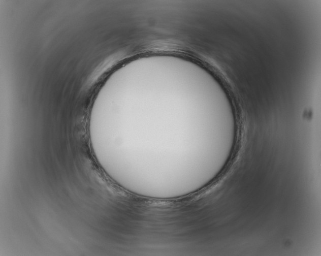 X0000110871211200906181001