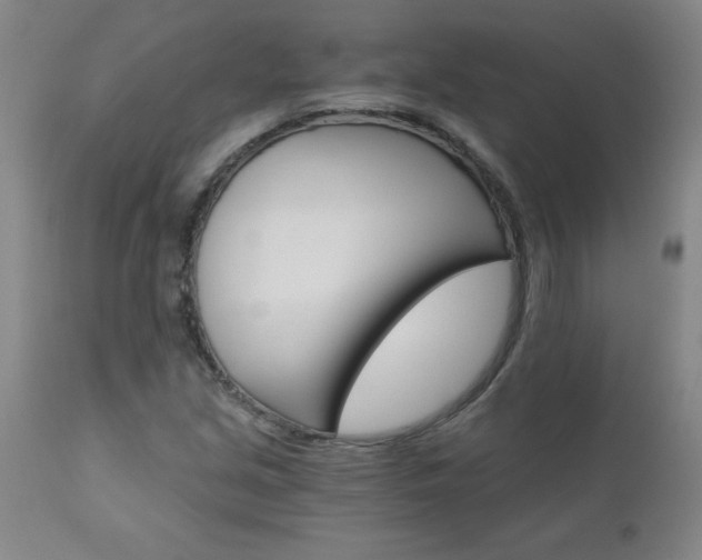 X0000110871213200906181001