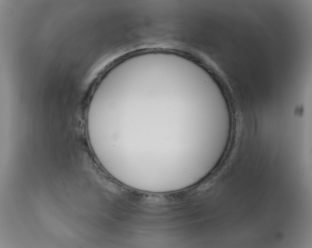 X0000110871215200906181001