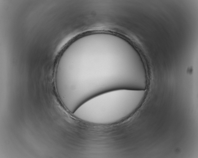 X0000110871216200906181001