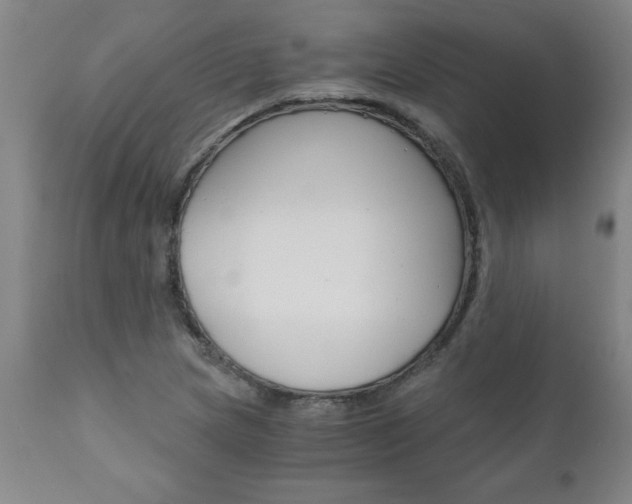 X0000110871217200906181001