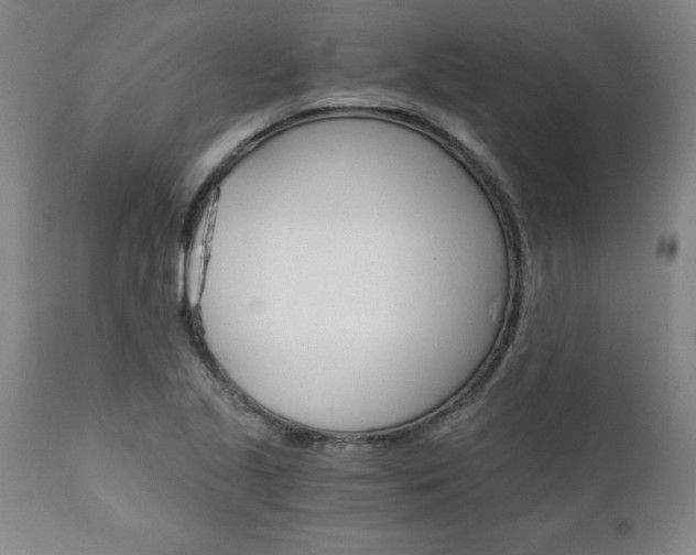 X0000110871221200906181002
