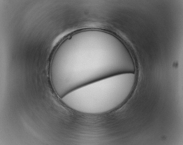 X0000110871222200906181002