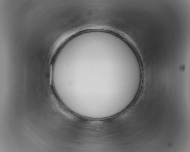 X0000110871223200906181002