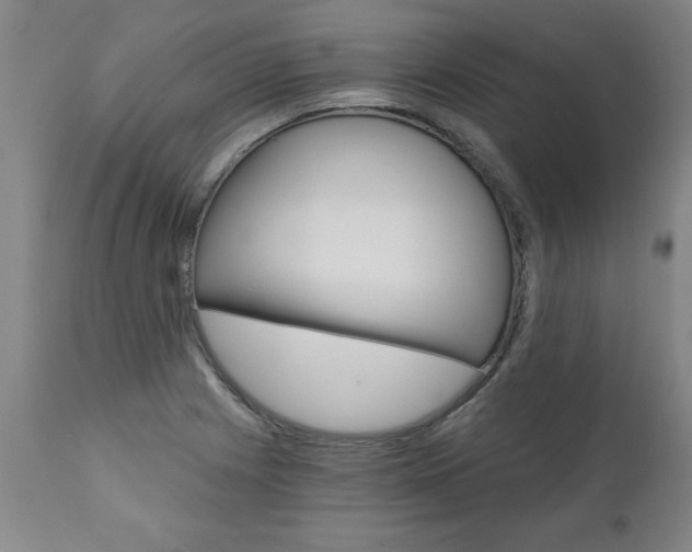 X0000110871225200906181002