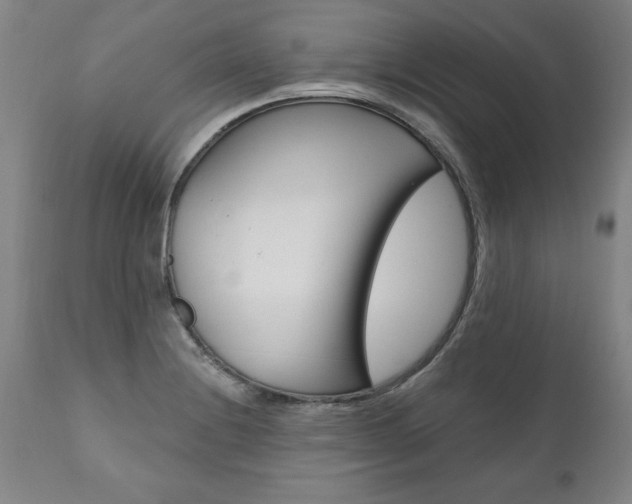 X0000110871228200906181002