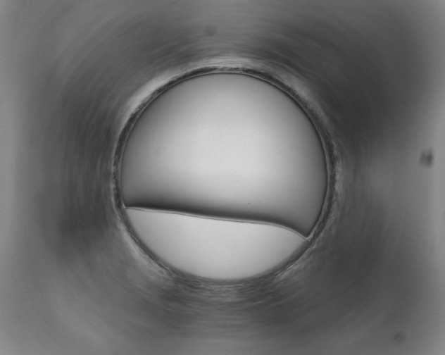 X0000110871229200906181002