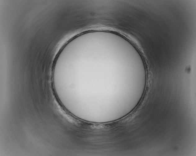X0000110871231200906181002
