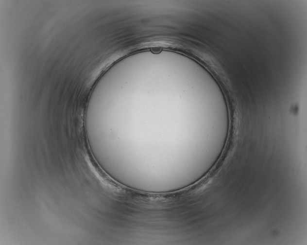 X0000110871233200906181002
