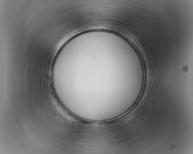 X0000110871234200906181002