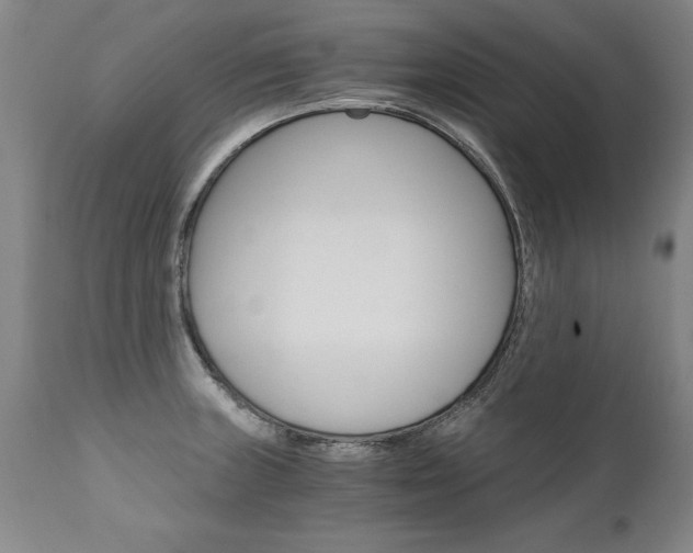 X0000110871235200906181002