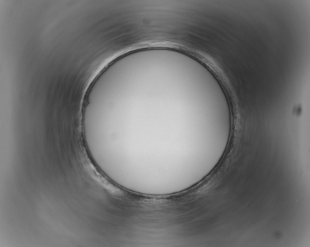 X0000110871236200906181002