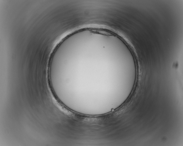 X0000110871237200906181002