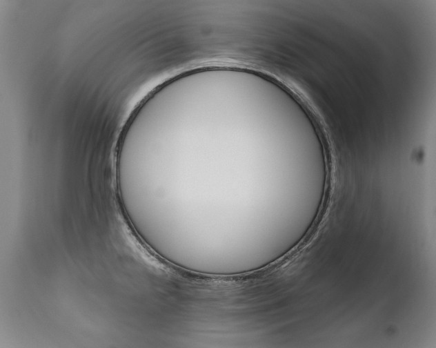 X0000110871238200906181002