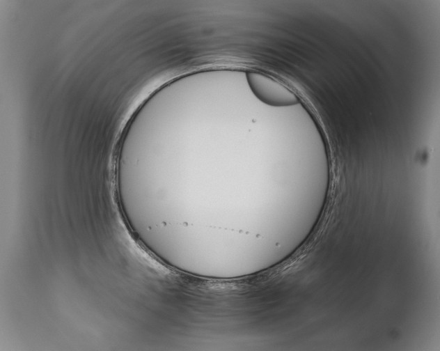 X0000110871243200906181002