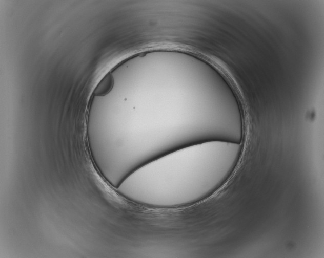 X0000110871244200906181002