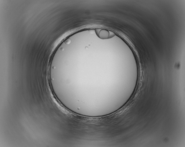 X0000110871245200906181002