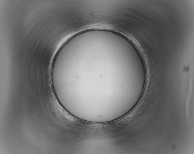 X0000110871248200906181002