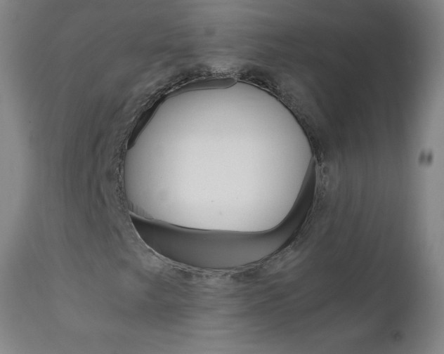 X0000110871249200906181001