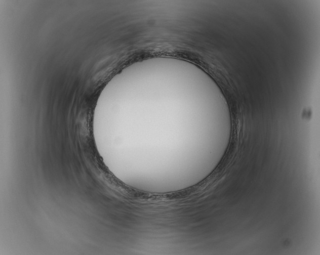 X0000110871250200906181001