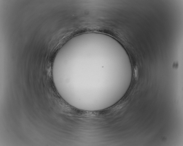 X0000110871251200906181001
