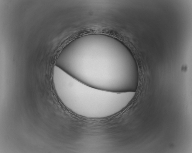 X0000110871253200906181001