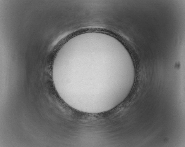 X0000110871255200906181001