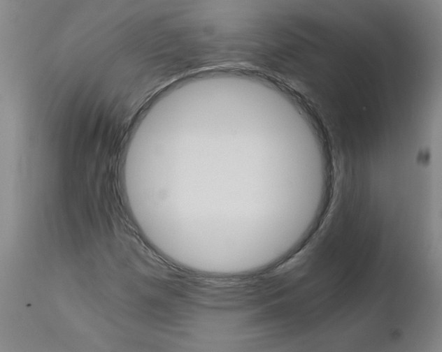 X0000110871257200906181001