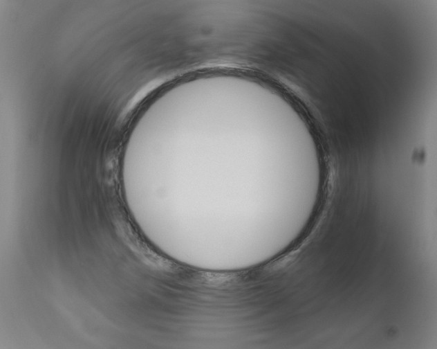 X0000110871258200906181001