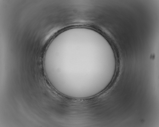 X0000110871259200906181001