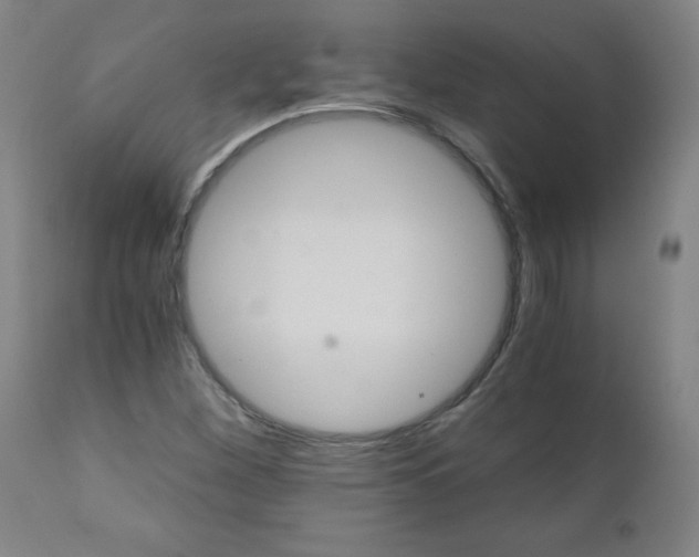 X0000110871260200906181001
