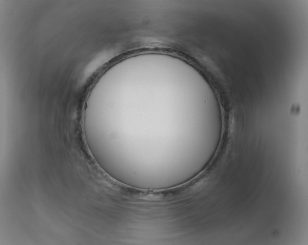 X0000110871261200906181001