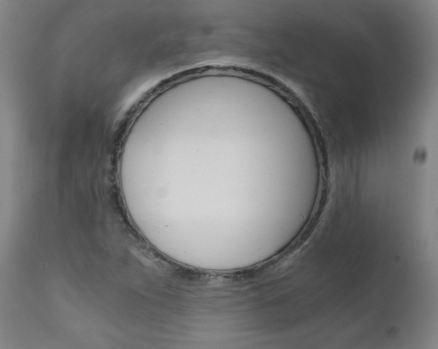 X0000110871263200906181001