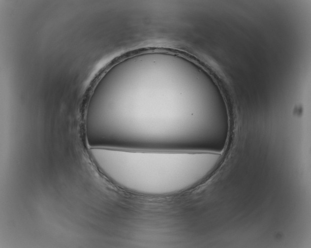 X0000110871264200906181001