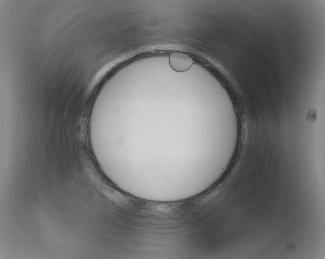 X0000110871266200906181001