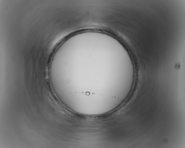 X0000110871267200906181001