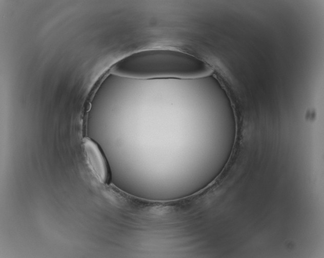 X0000110871268200906181001