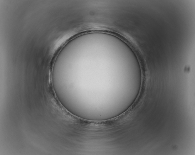 X0000110871269200906181001