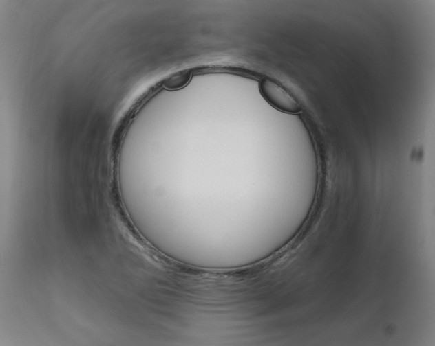 X0000110871270200906181001