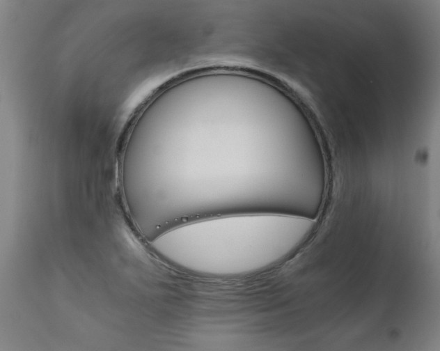X0000110871271200906181001