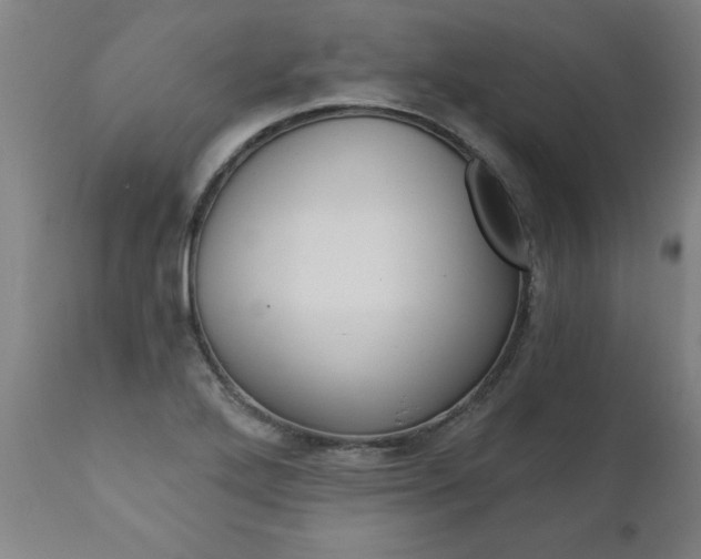 X0000110871272200906181001